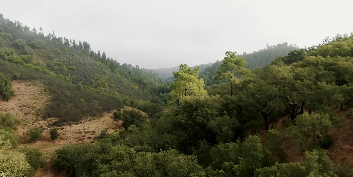 Mooji The Natural State