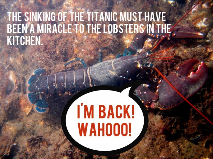 RedditShowerThoughts_03