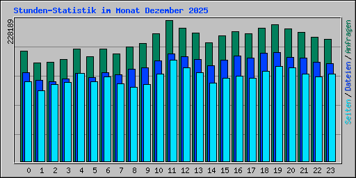 Stunden-Statistik im Monat Dezember 2025