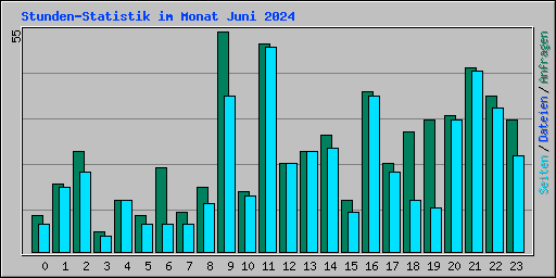 Stunden-Statistik im Monat Juni 2024