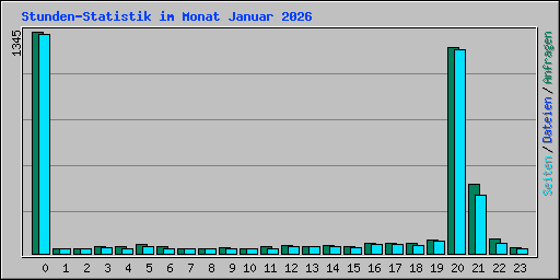 Stunden-Statistik im Monat Januar 2026
